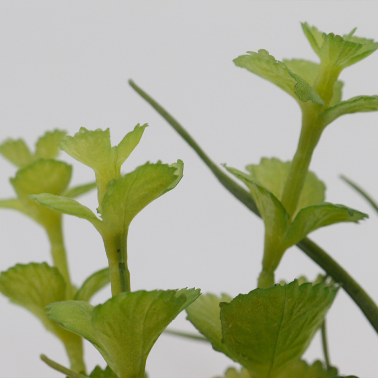 Suculentas Artificiales Miniatura de PVC en Oferta, Plantas Suculentas Artificiales en Maceta, Pequeña Planta Bonsái para Decoración Interior del Hogar (3).jpg 